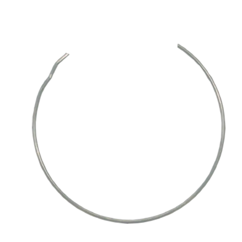 Stainless Lens Retainer 1