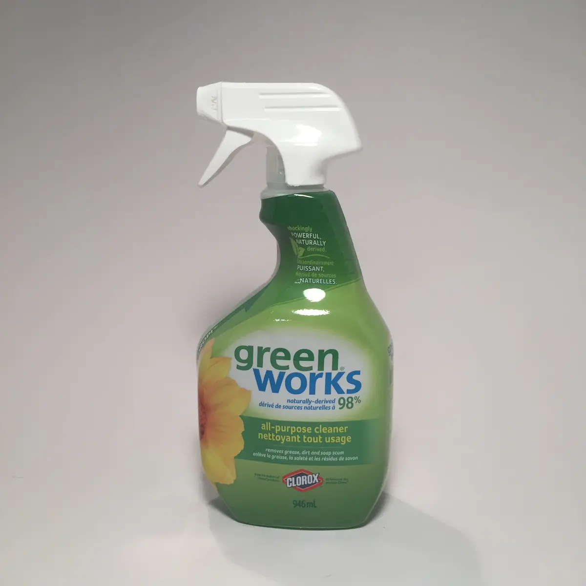 Greenworks Spray Cleaner 1