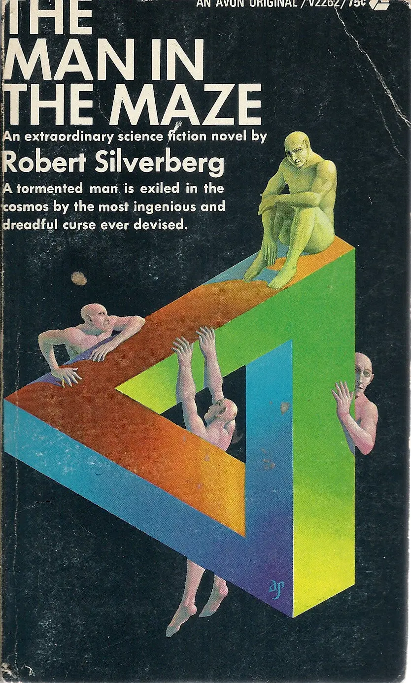 The Man In The Maze 1