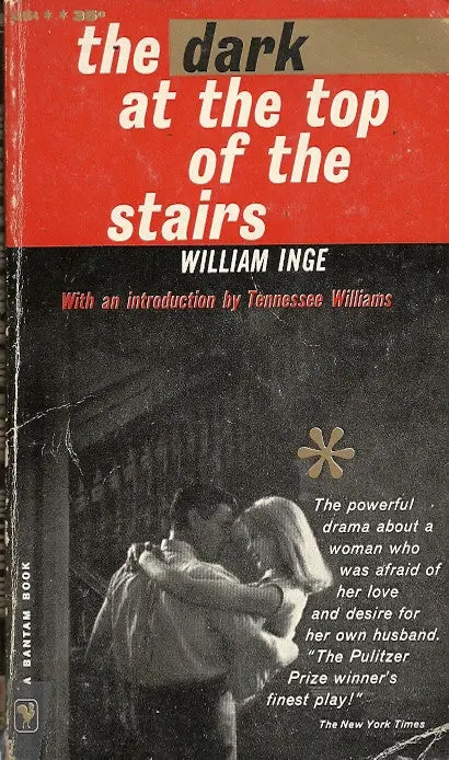 The Dark At The Top Of The Stairs 1