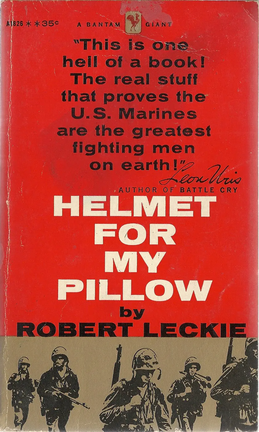 Helmet For My Pillow 1