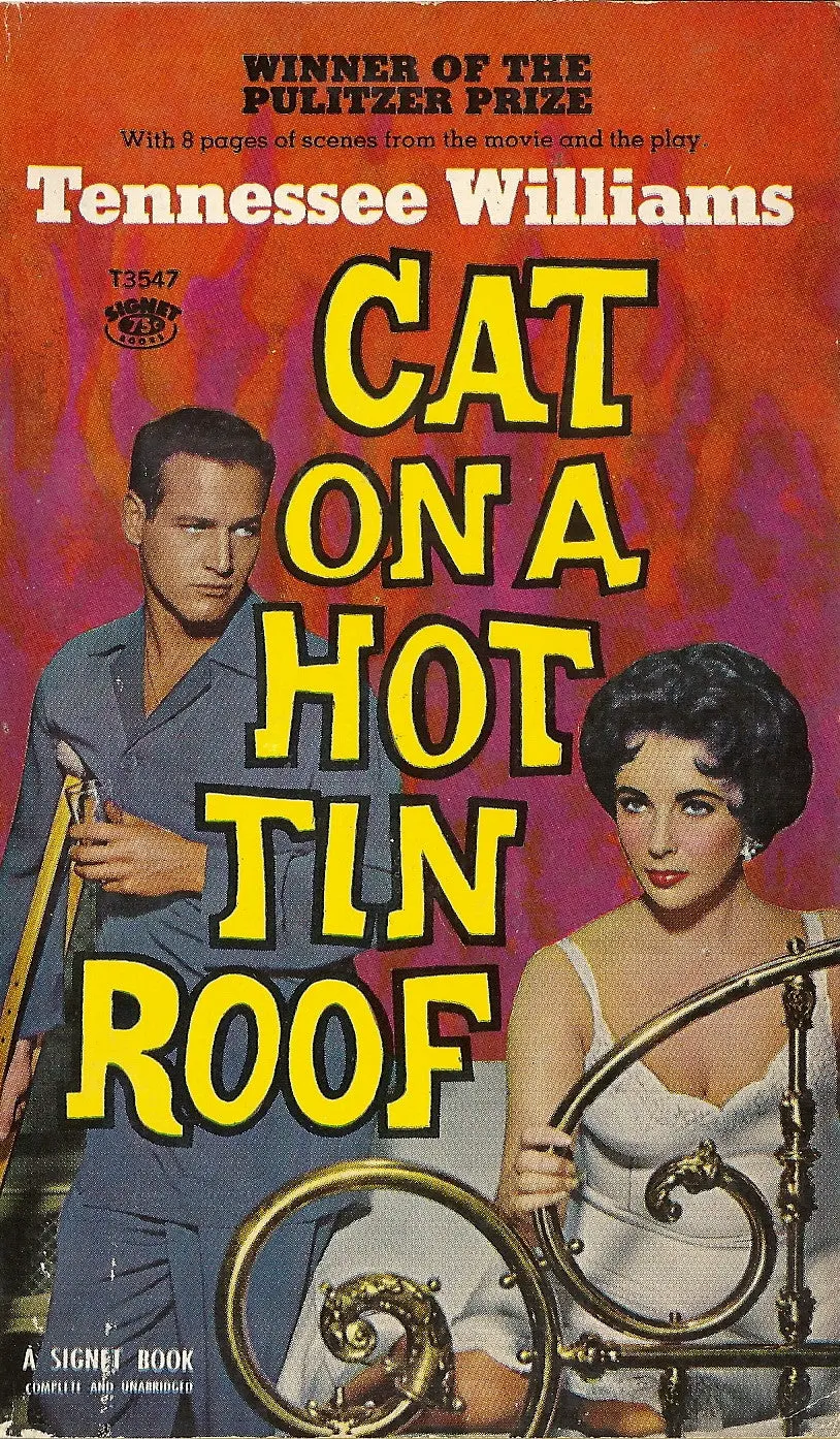 Cat On A Hot Tin Roof 1