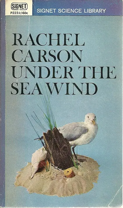 Under The Sea Wind 1