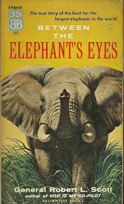 Between The Elephant's Eyes 1