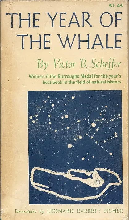 The Year Of The Whale 1