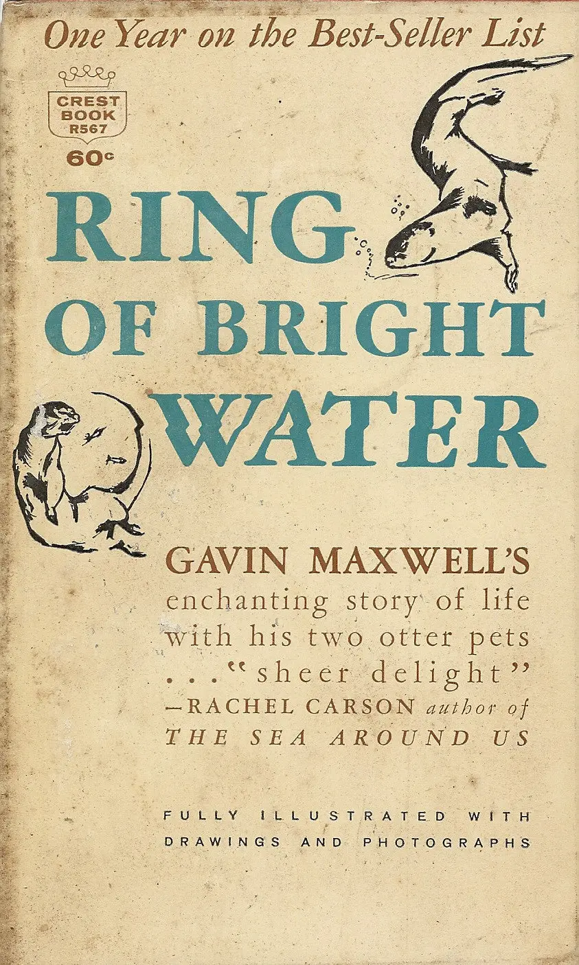 Ring Of Bright Water 1