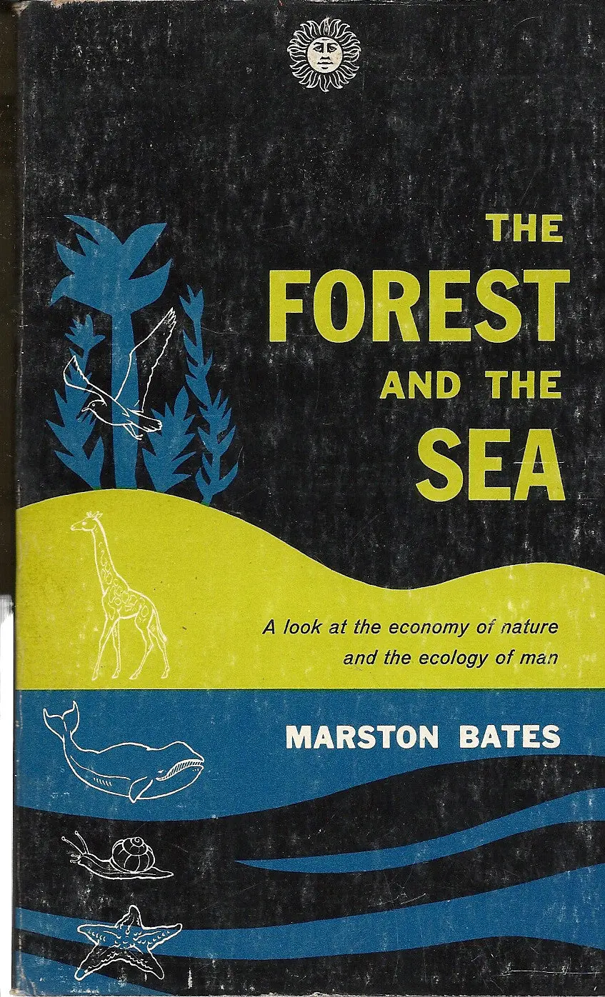 The Forest And The Sea 1