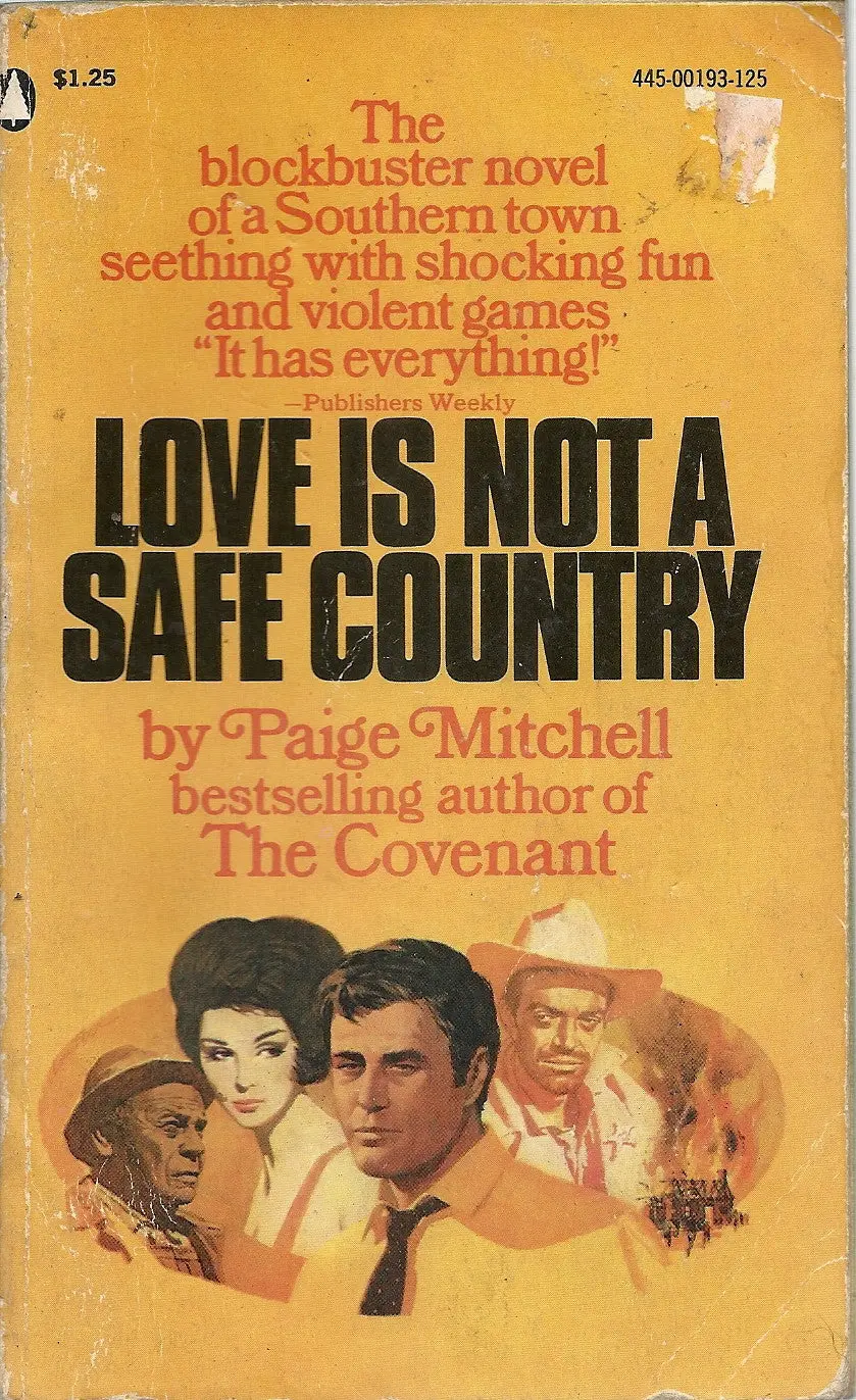 Love Is Not A Safe Country 1
