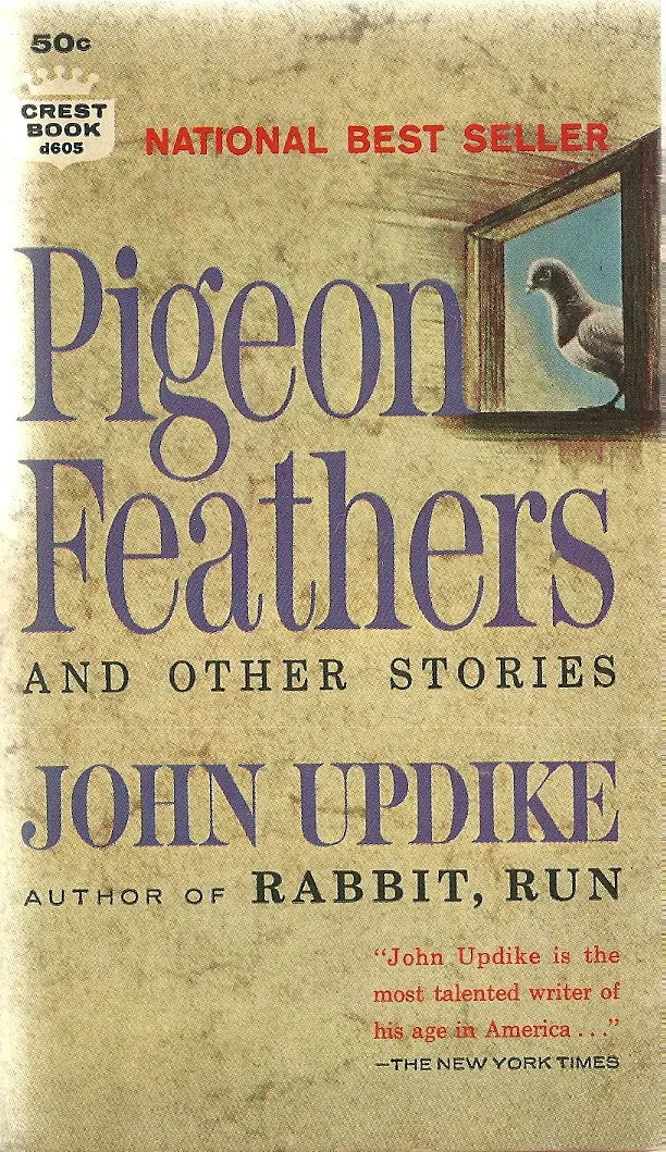 Pigeon Feathers 1