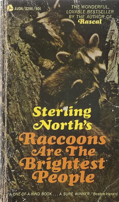 Raccoons Are The Brightest People 1
