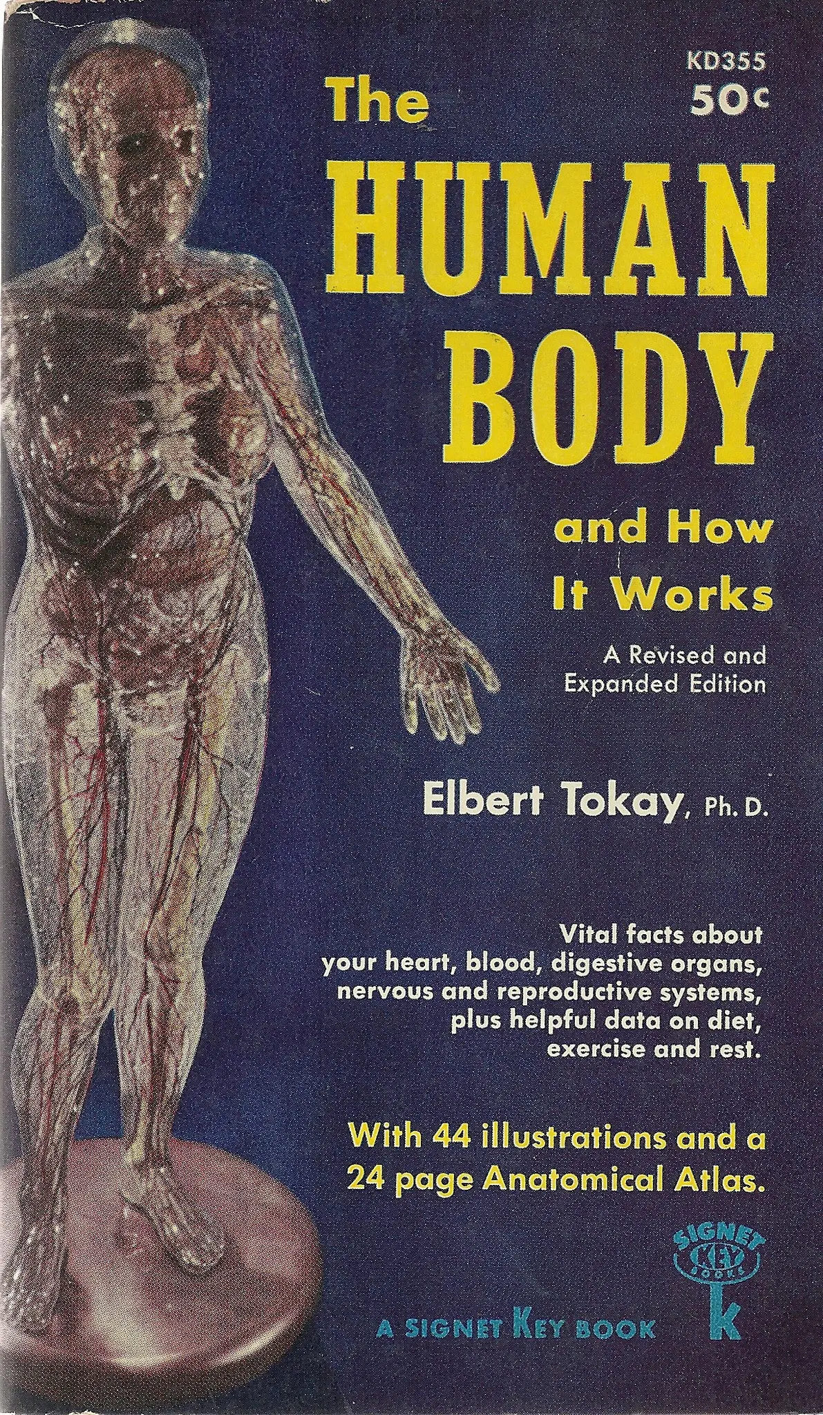 The Human Body And How It Works 1