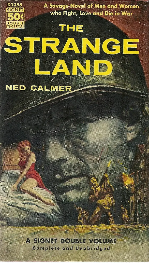 The Strange Land 1