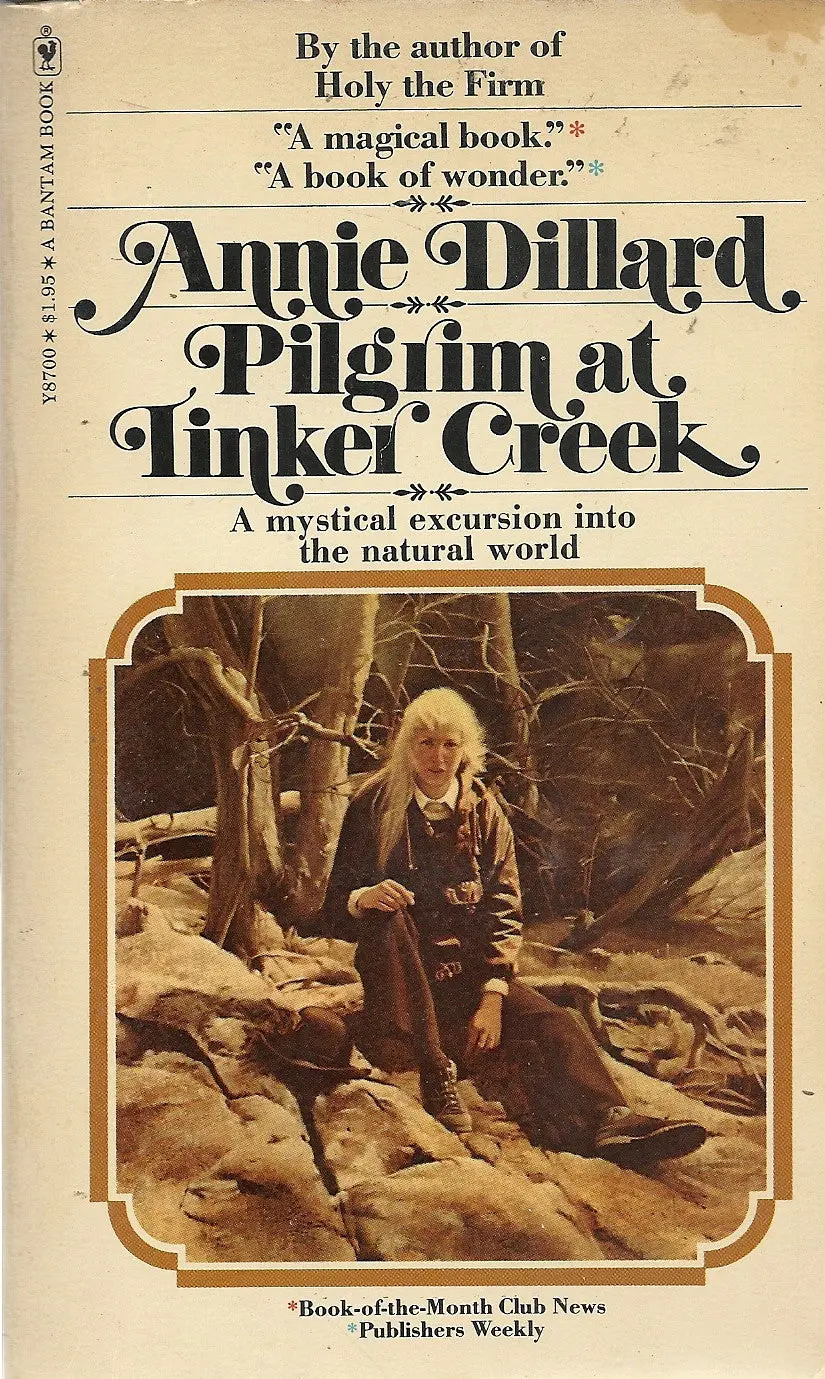 Pilgrim At Tinker Creek 1