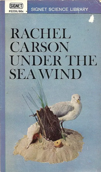 Under The Sea Wind 1