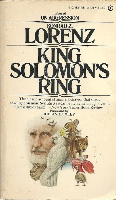 King Solomon's Ring 1