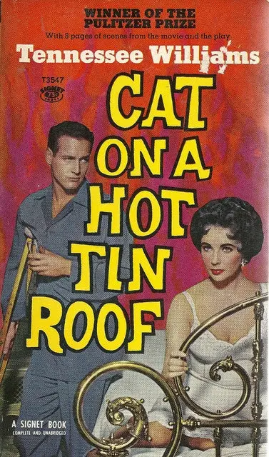 Cat On A Hot Tin Roof 1