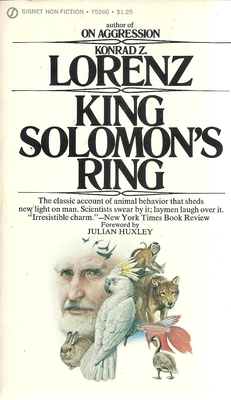 King Solomon's Ring 1