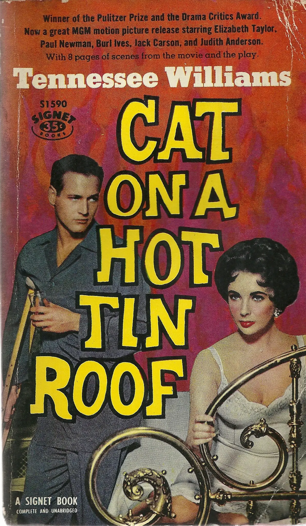Cat On A Hot Tin Roof 1