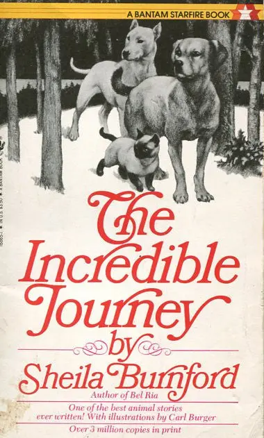 The Incredible Journey 1