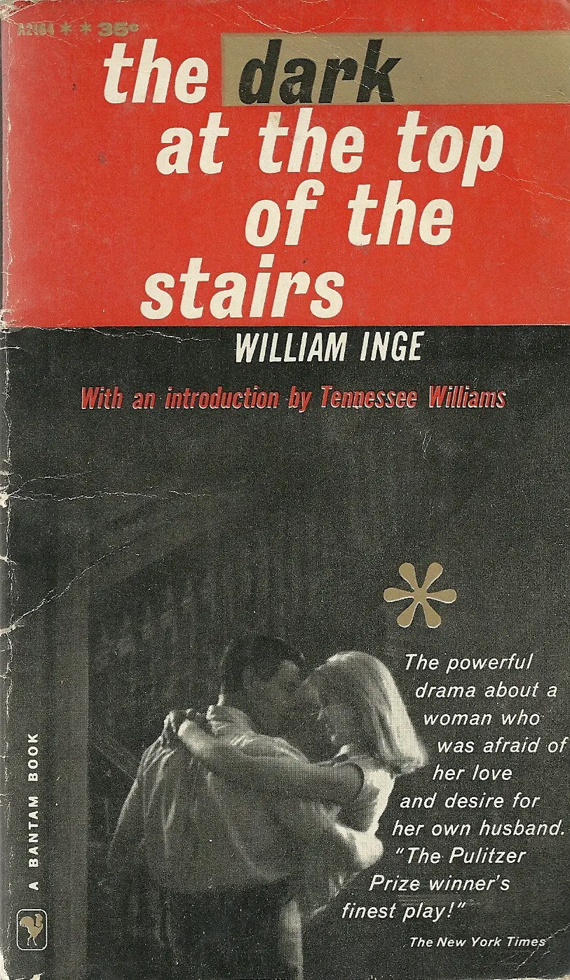 The Dark At The Top Of The Stairs 1