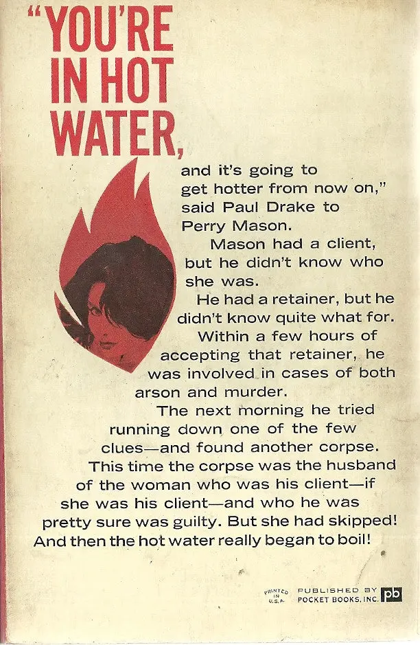 Perry Mason Solves The Case Of The One-Eyed Witness 2