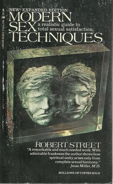 Modern Sex Techniques 1