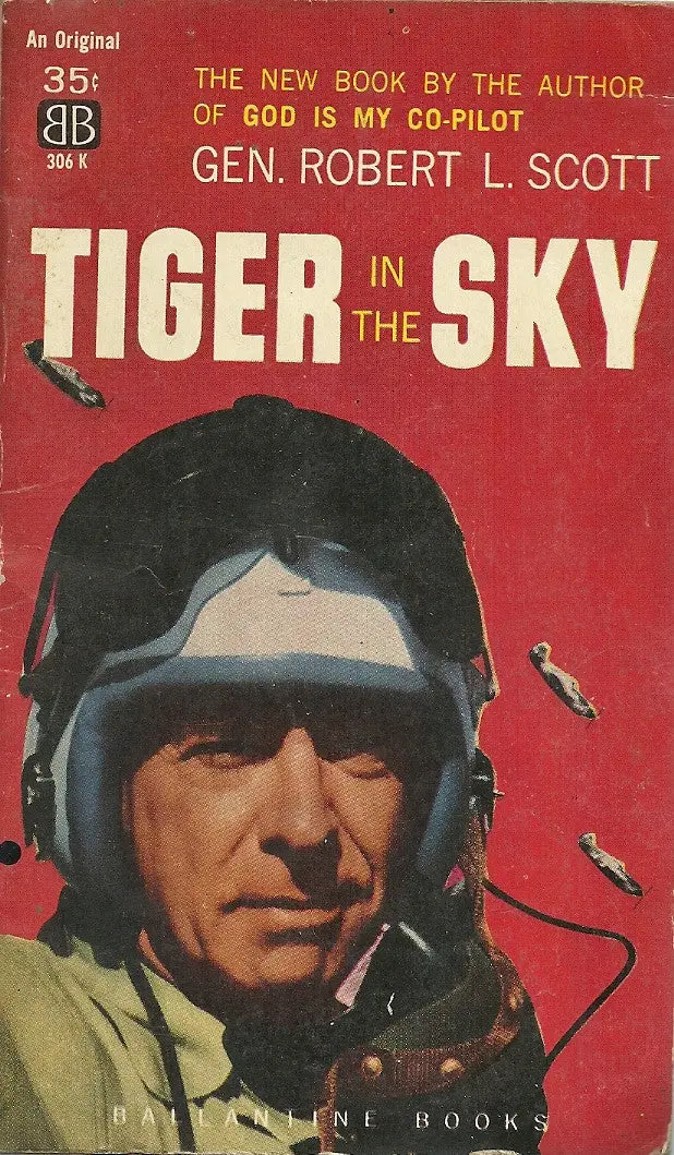 Tiger In The Sky 1
