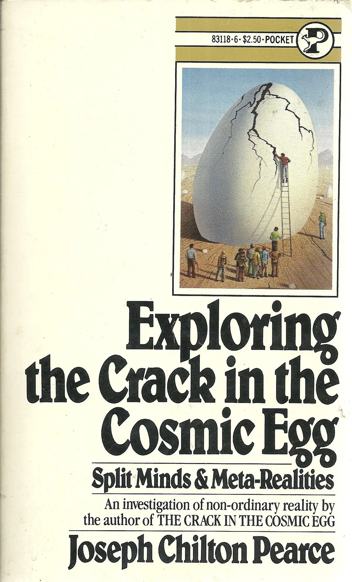 Exploring The Crack In The Cosmic Egg 1