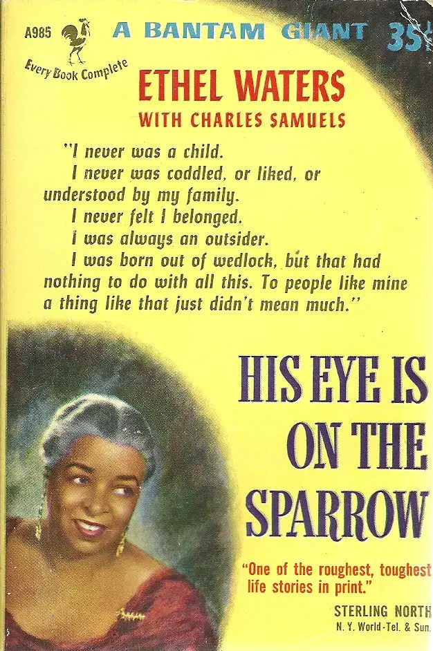 His Eye Is On The Sparrow 1
