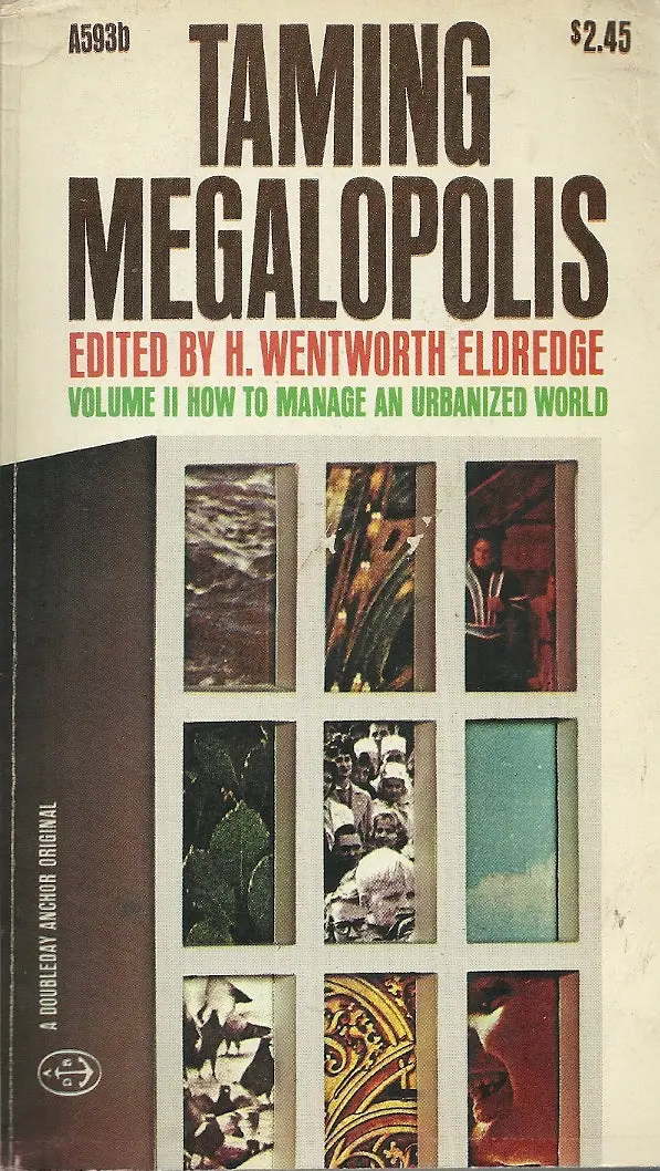 Taming Megalopolis Volume Ii How To Manage An Urbanized World 1