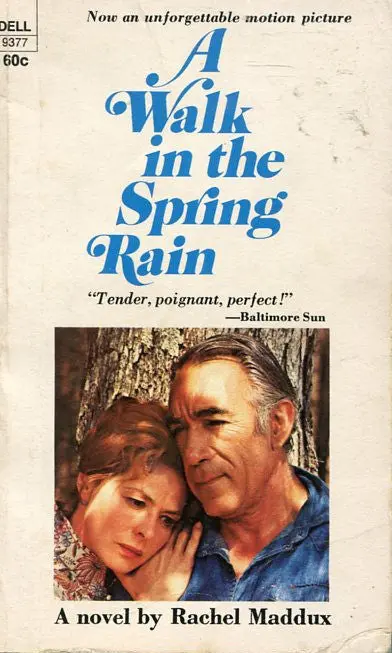 A Walk In The Spring Rain 1