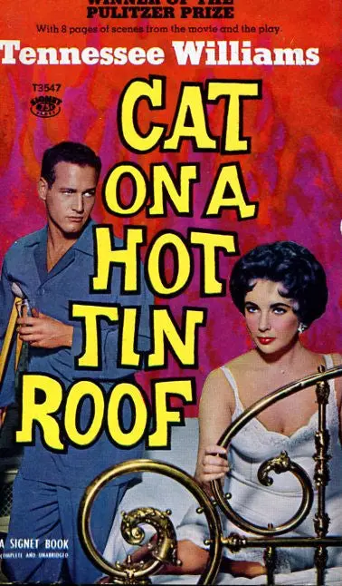 Cat On A Hot Tin Roof 1