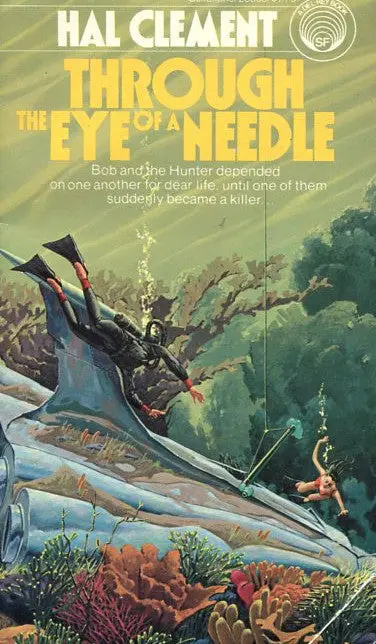 Through The Eye Of A Needle 1