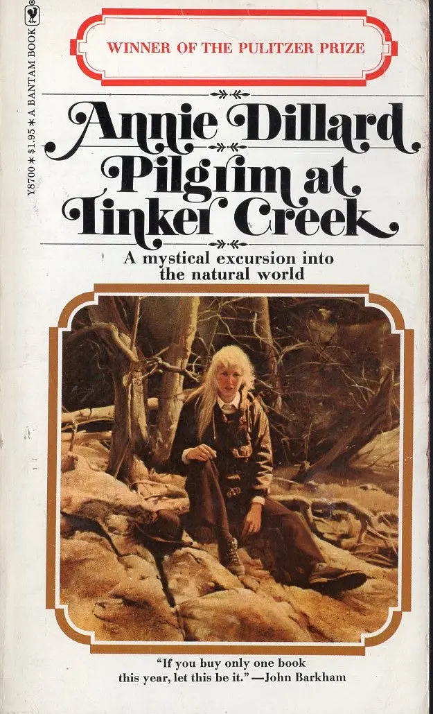 Pilgrim At Tinker Creek 1