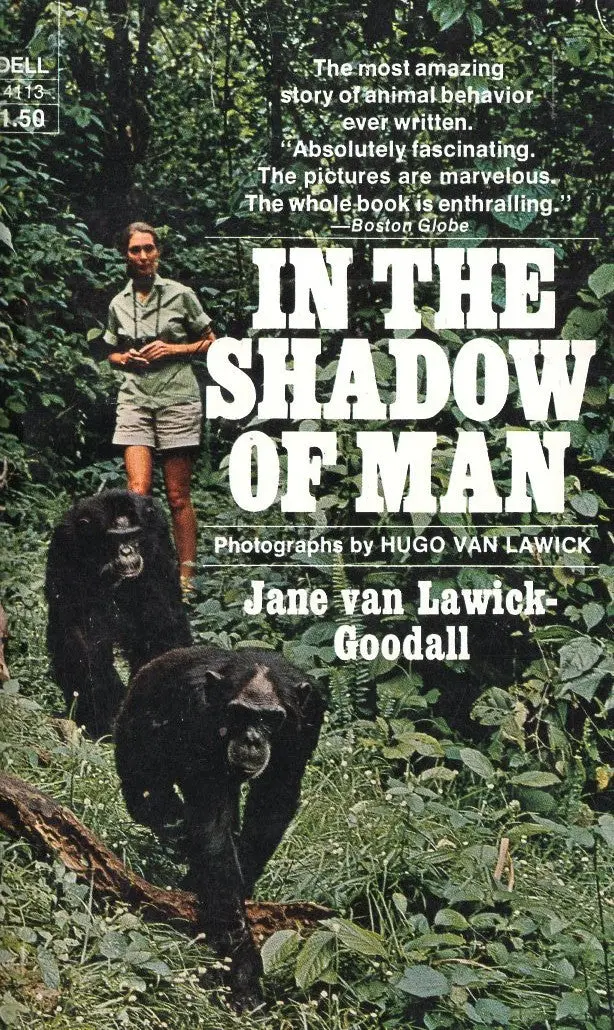 In The Shadow Of Man 1
