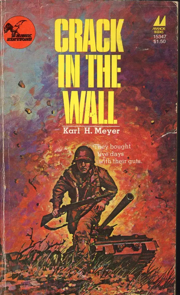 Crack In The Wall 1
