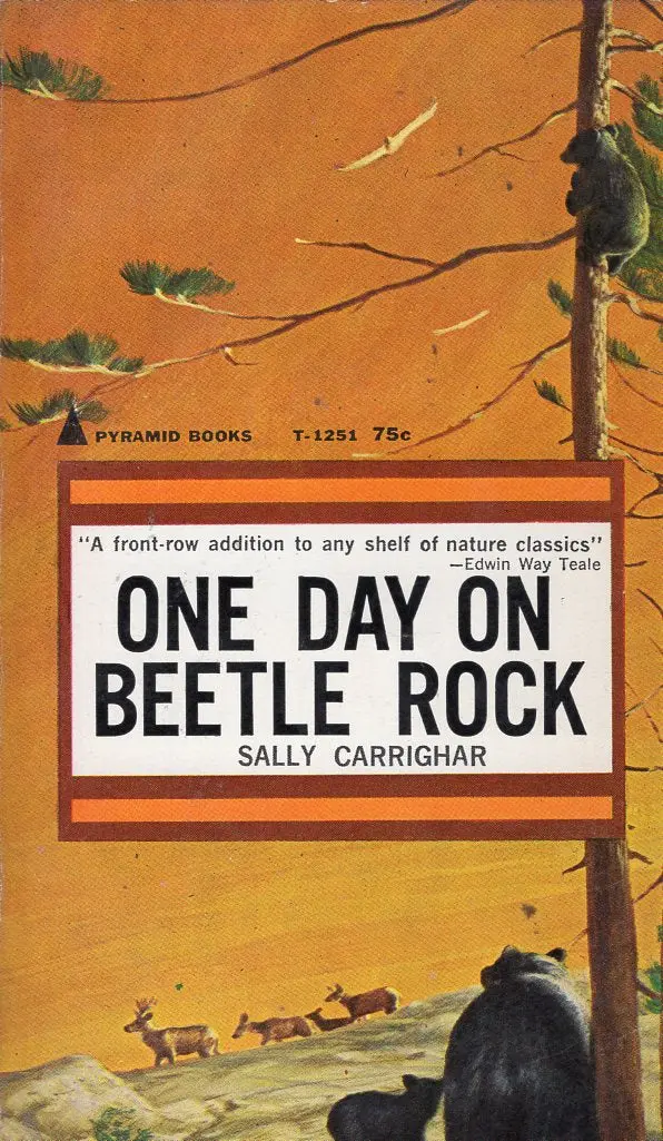One Day On Beetle Rock 1