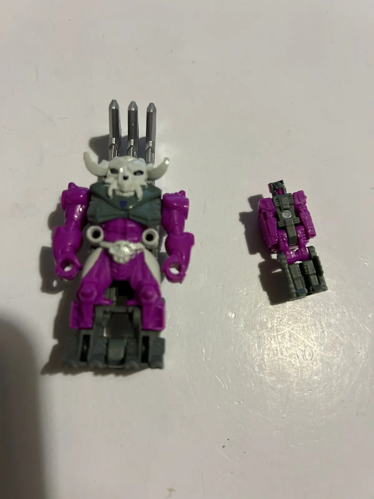 Tf Potp Liege Maximo 1