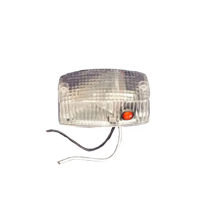 Dome Light - Surface Mount With Lexan Lens - Switch 1