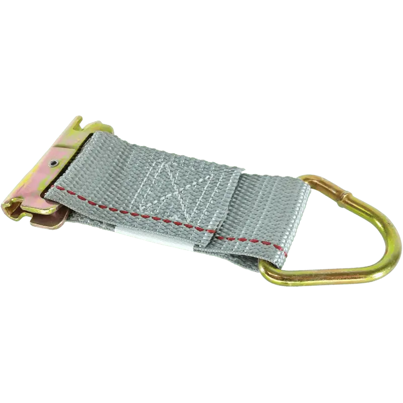 Tie Down - E Track D Ring Clasp (Pair) 1