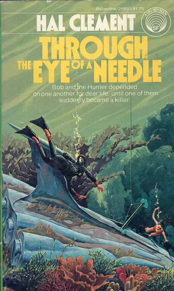 Through The Eye Of A Needle 1