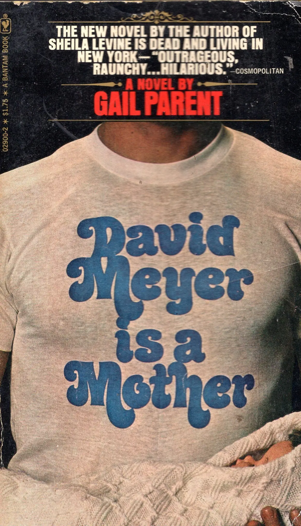 David Meyer Is A Mother 1