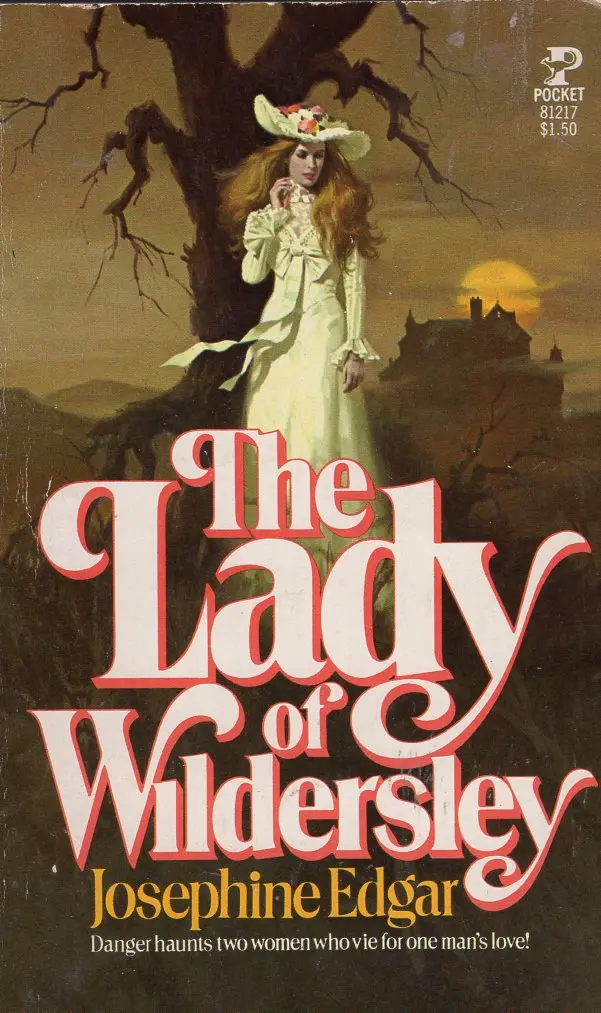 The Lady Of Wildersley 1