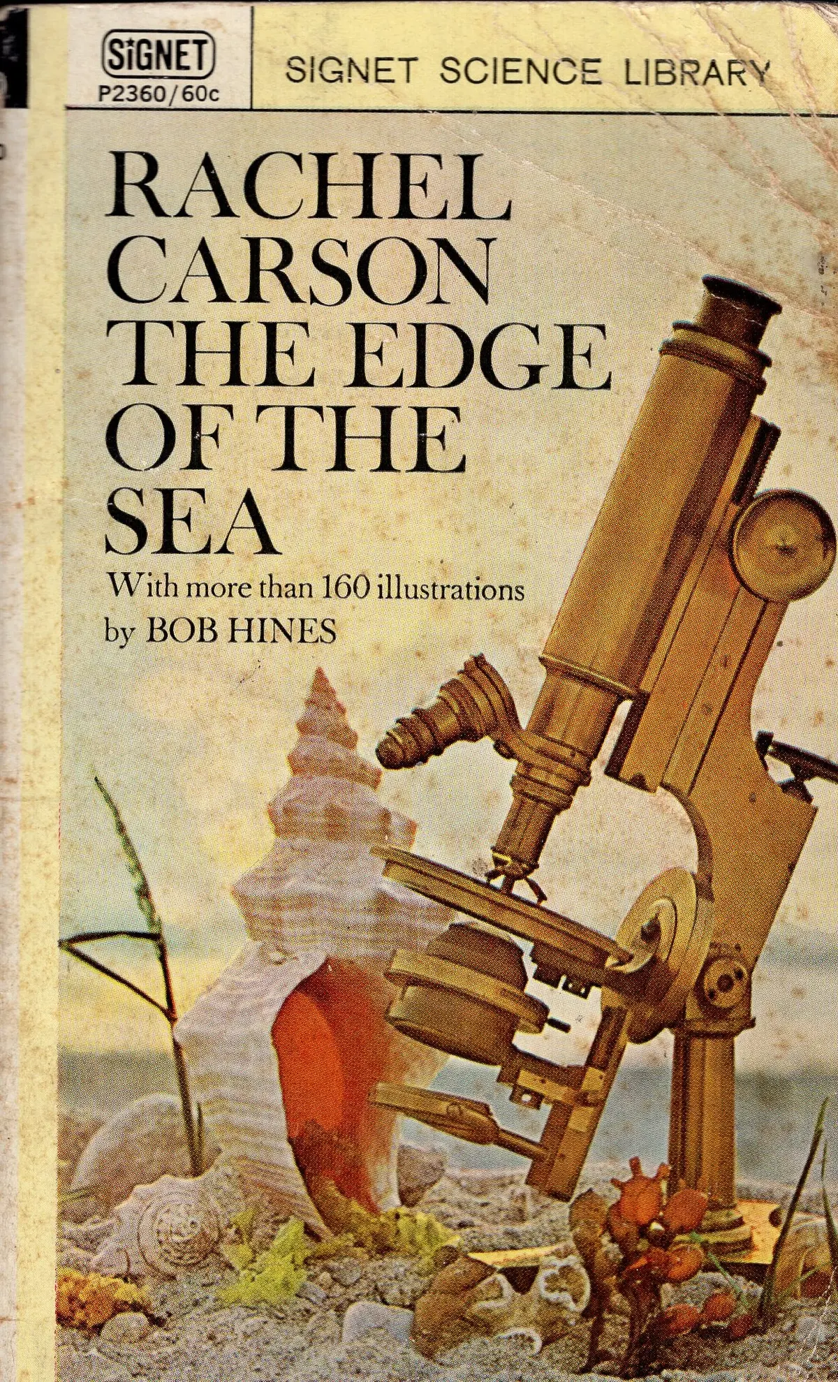 The Edge Of The Sea 1