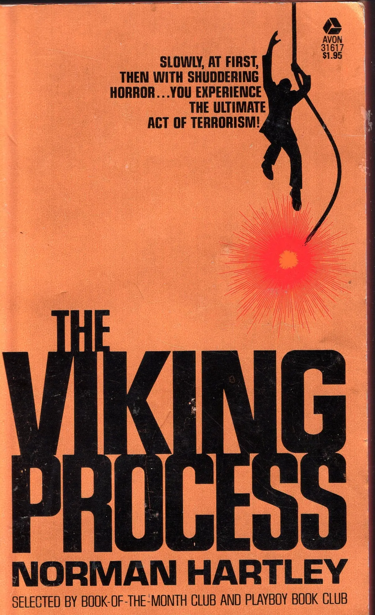 The Viking Process 1