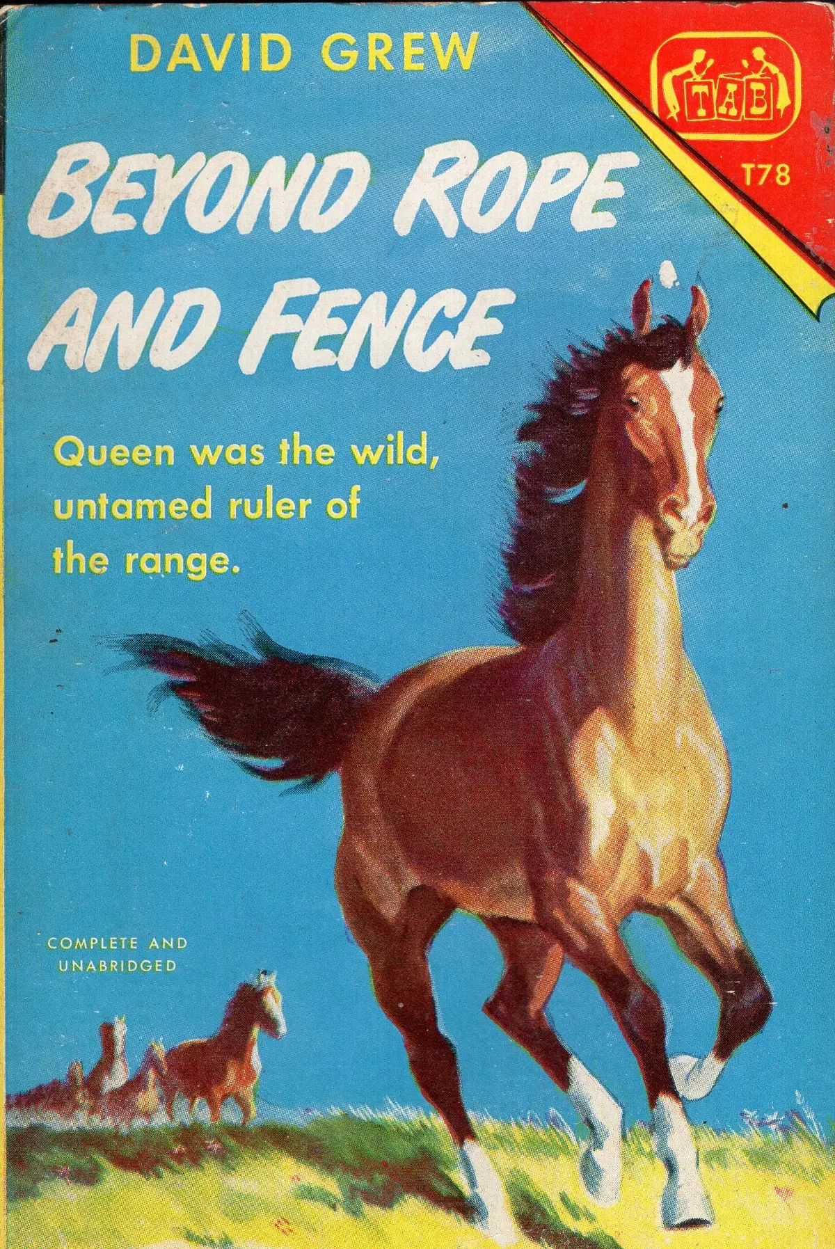 Beyond Rope And Fence 1