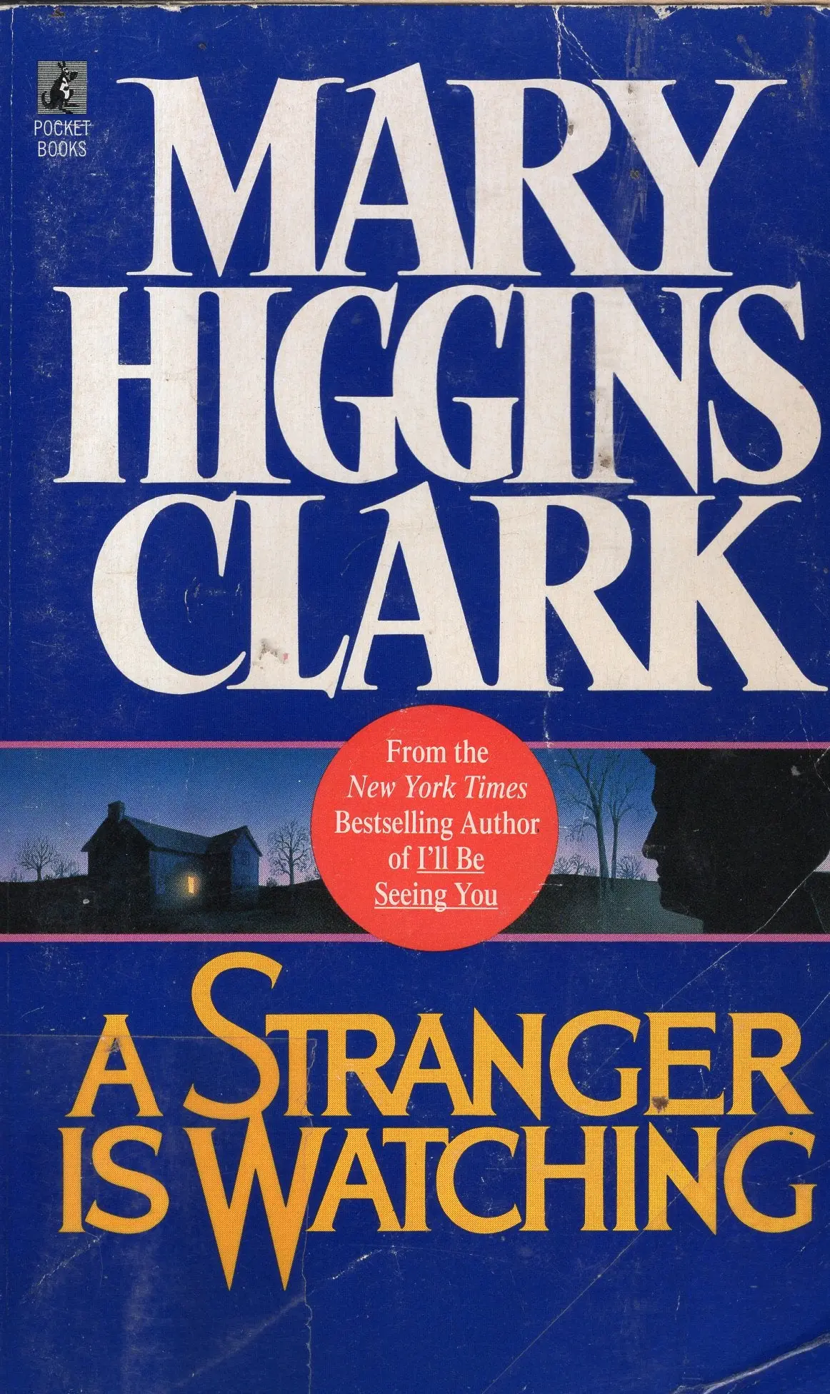 A Stranger Is Watching 1