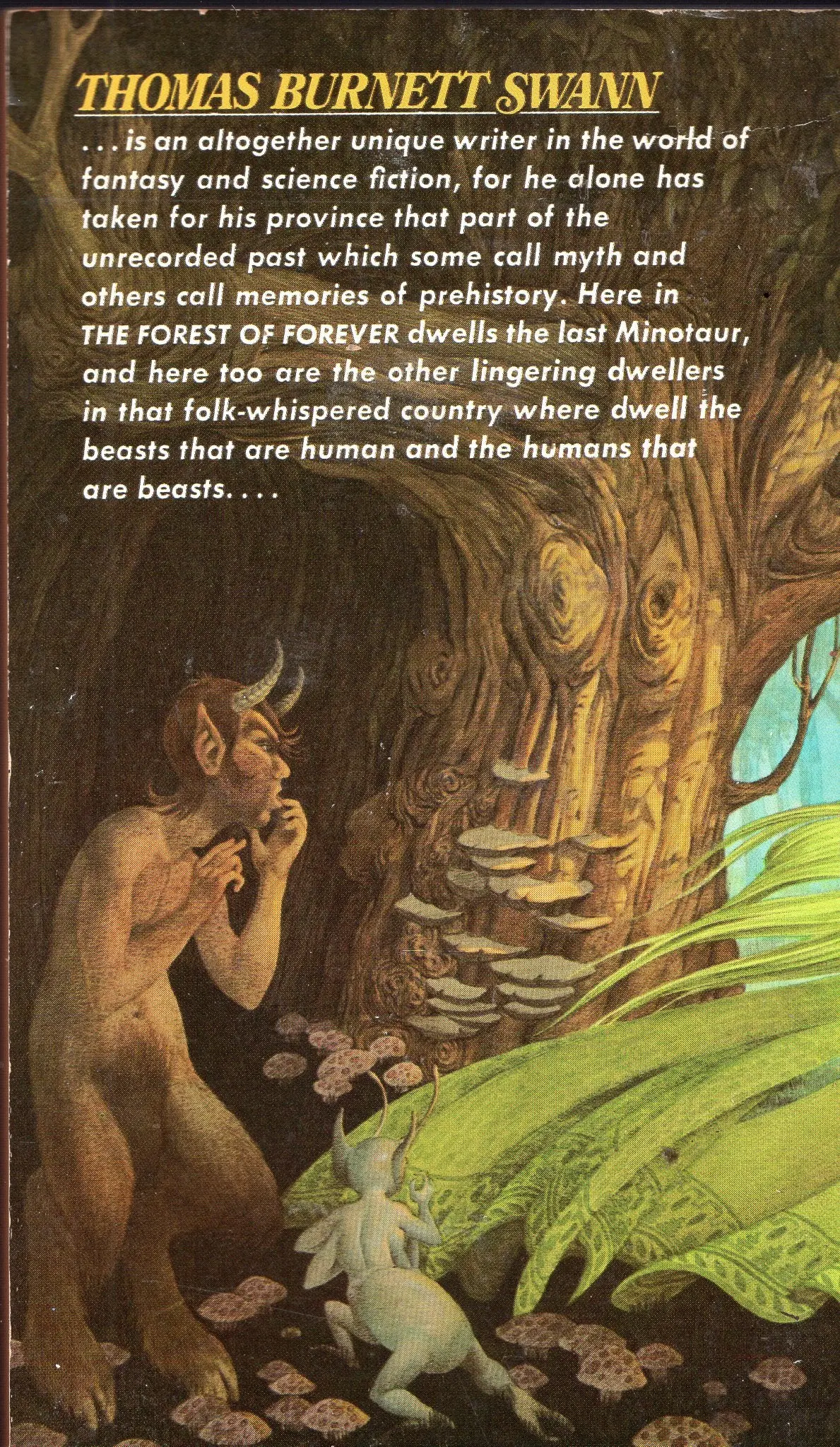 The Forest Of Forever 2
