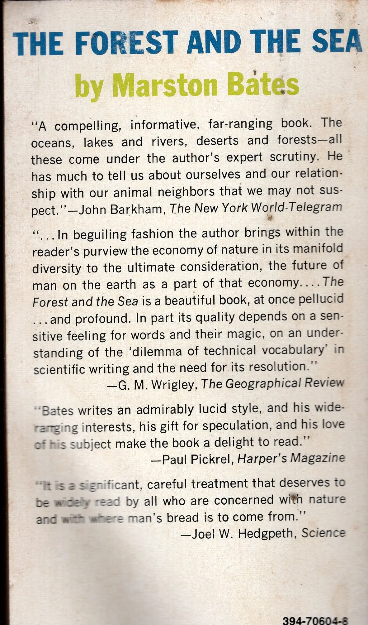 The Forest And The Sea 2