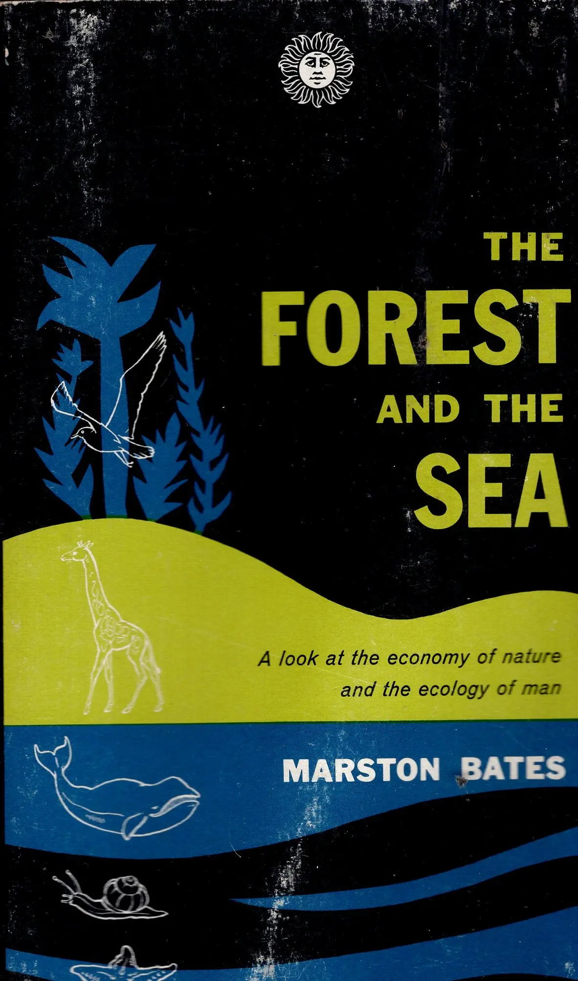 The Forest And The Sea 1